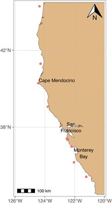 Energy densities of key prey species in the California Current Ecosystem
